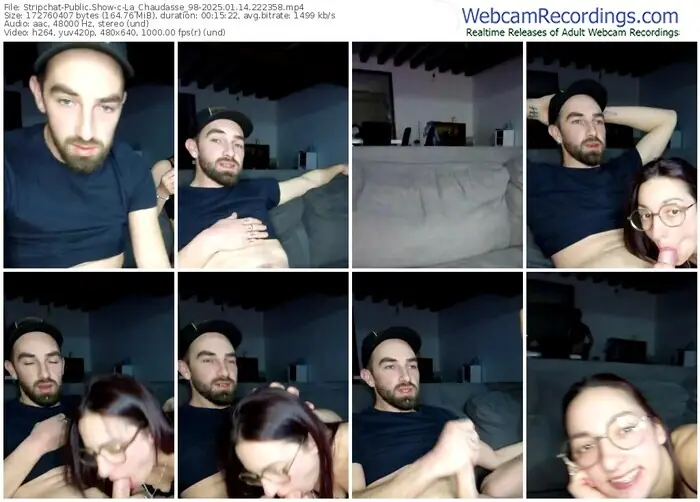 stripchat-la_chaudasse_98-01-14-2025-22-23-58