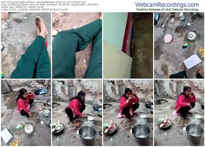 stripchat-anushkabhabhi-01-14-2025-11-46-23