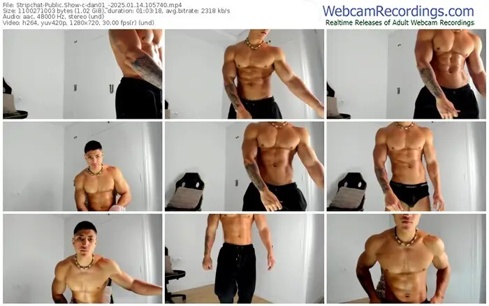 stripchat-dan01_-01-14-2025-10-57-40