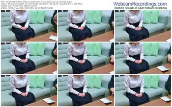 stripchat-premium_style-01-14-2025-14-55-28