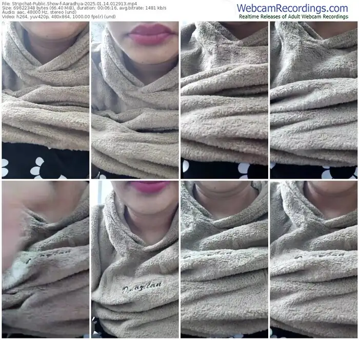stripchat-aaradhya-01-14-2025-01-29-13