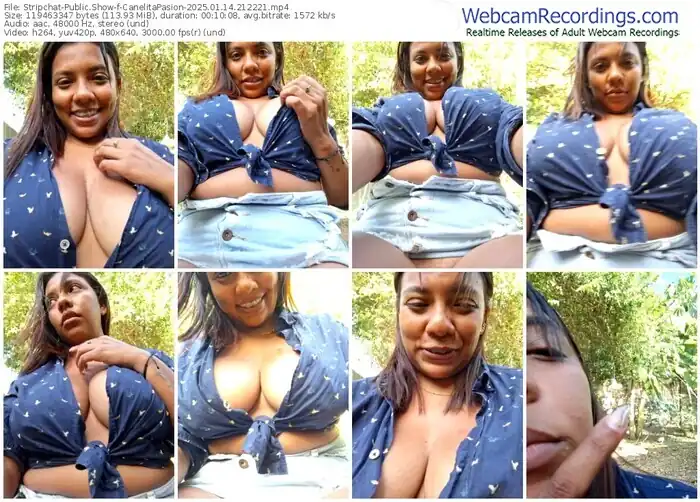 stripchat-canelitapasion-01-14-2025-21-22-21