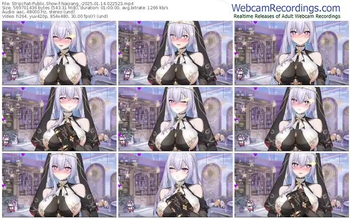 stripchat-naijiang_-01-14-2025-02-25-23