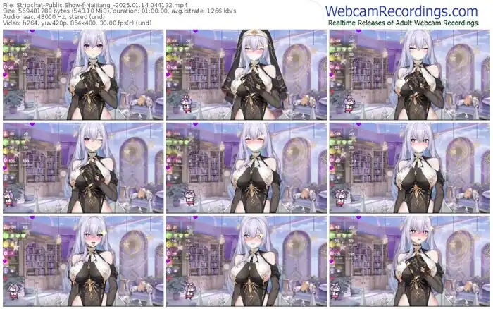 stripchat-naijiang_-01-14-2025-04-41-32