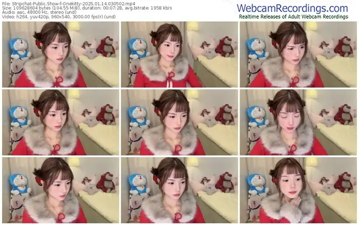 stripchat-onekitty-01-14-2025-03-05-02