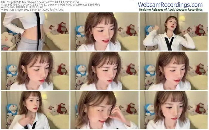 stripchat-onekitty-01-14-2025-16-30-33