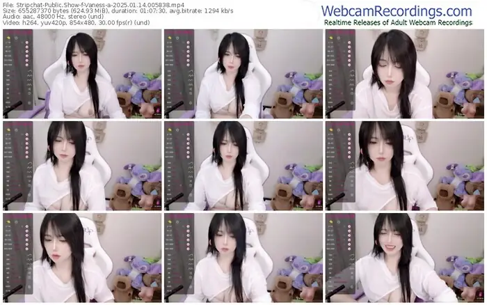 stripchat-vaness-a-01-14-2025-00-58-38