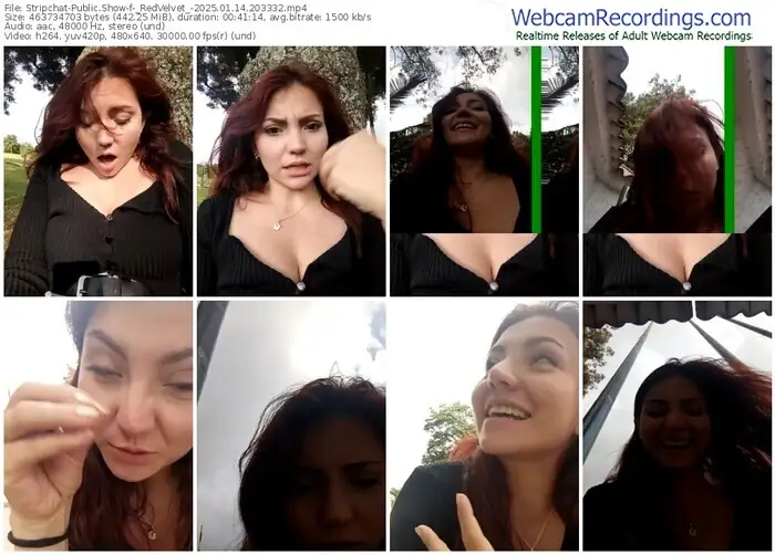 stripchat-_redvelvet_-01-14-2025-20-33-32