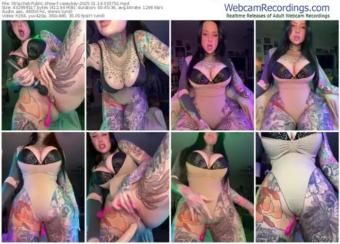 stripchat-caseykey-01-14-2025-03-37-52
