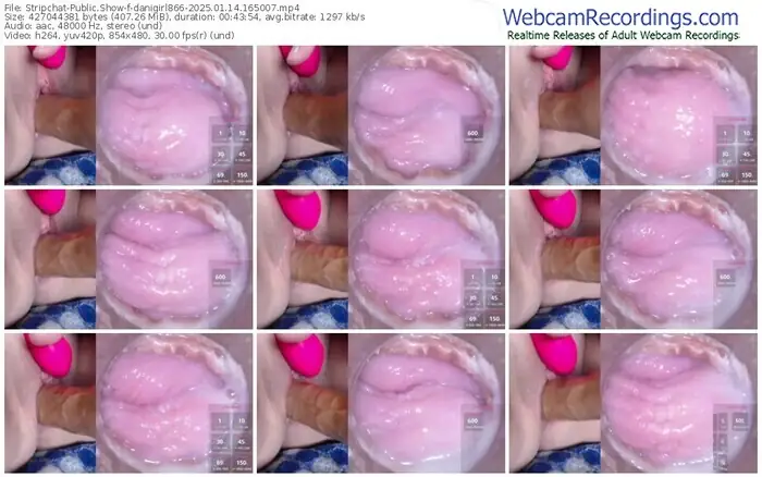 stripchat-danigirl866-01-14-2025-16-50-07