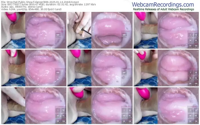 stripchat-danigirl866-01-14-2025-23-44-19