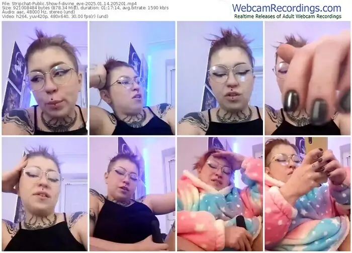 stripchat-divine_eve-01-14-2025-20-52-01