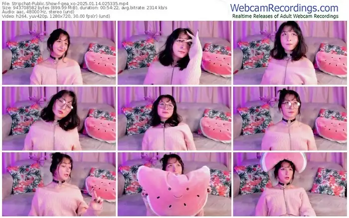 stripchat-gea_xo-01-14-2025-02-53-35