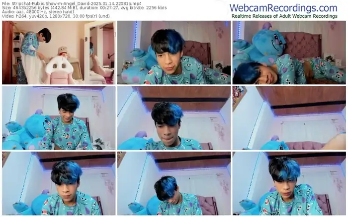 stripchat-angel_david-01-14-2025-22-08-15