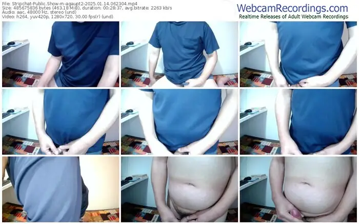 stripchat-agaupt2-01-14-2025-06-23-04