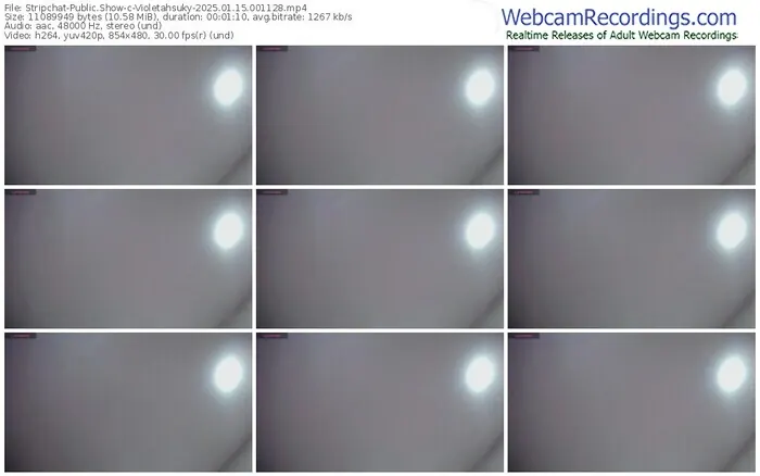 stripchat-violetahsuky-01-15-2025-00-11-28