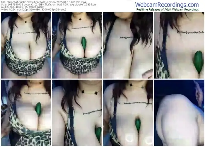 stripchat-farawla_elgmda-01-15-2025-06-11-38