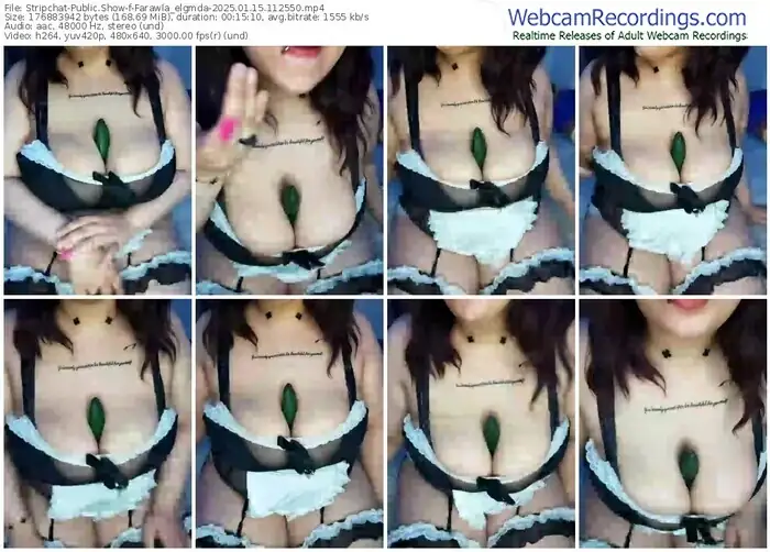 stripchat-farawla_elgmda-01-15-2025-11-25-50