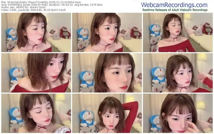 stripchat-onekitty-01-15-2025-02-36-50
