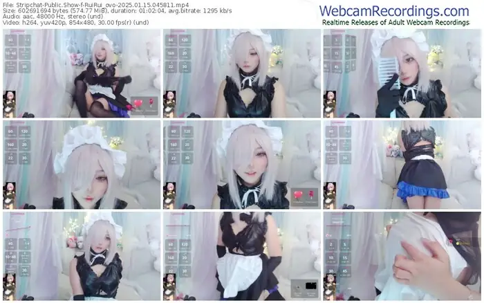 stripchat-ruirui_ovo-01-15-2025-04-58-11