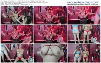 stripchat-submission_bdsm-01-15-2025-12-35-57