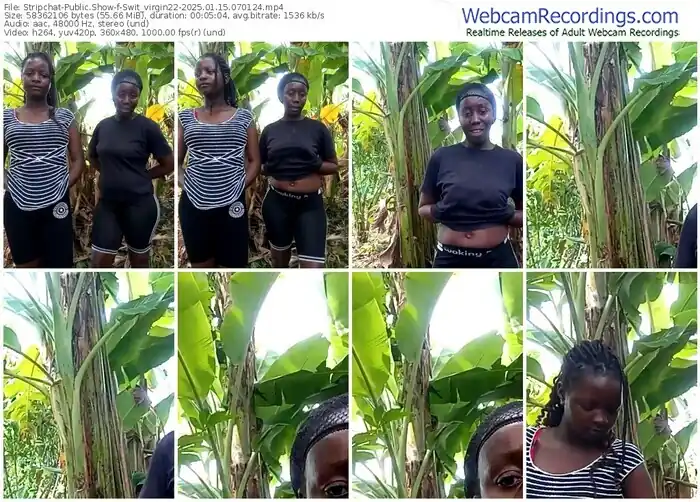 stripchat-swit_virgin22-01-15-2025-07-01-24