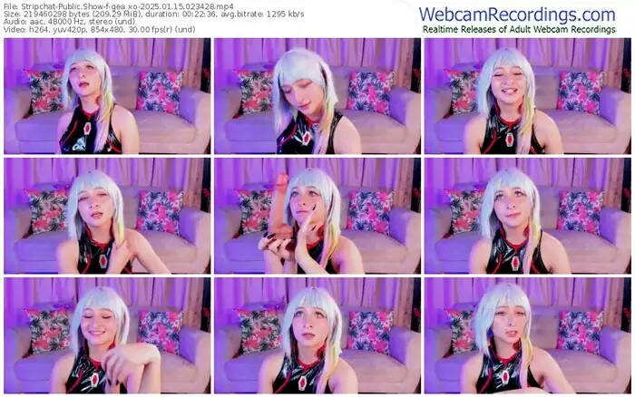 stripchat-gea_xo-01-15-2025-02-34-28