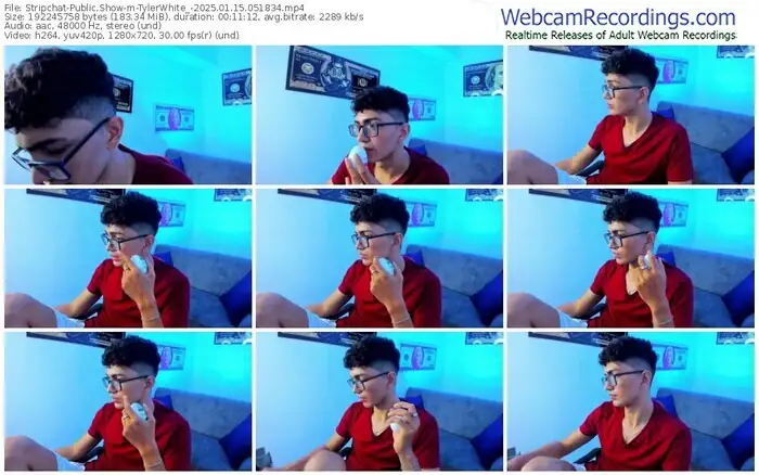 stripchat-tylerwhite_-01-15-2025-05-18-34