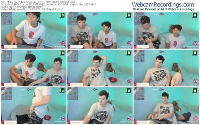 stripchat-_ottis_-01-15-2025-00-09-53