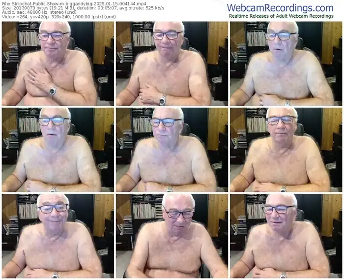 stripchat-biggandybig-01-15-2025-00-41-44