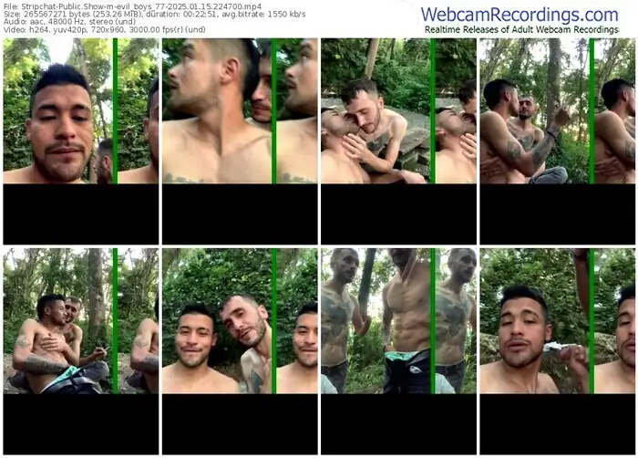 stripchat-evil_boys_77-01-15-2025-22-47-00