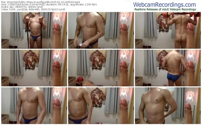 stripchat-wolfguy88-01-15-2025-16-05-40