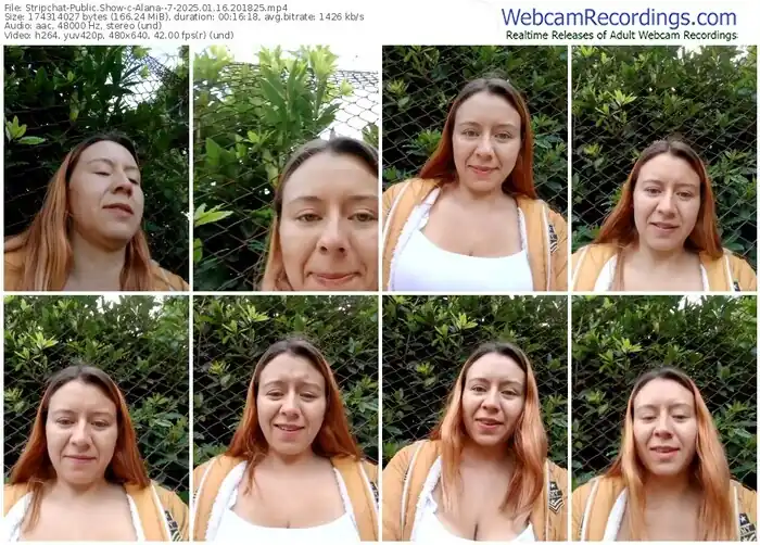 stripchat-alana--7-01-16-2025-20-18-25
