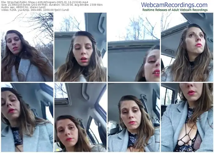 stripchat-kittywhispers-01-16-2025-21-32-40