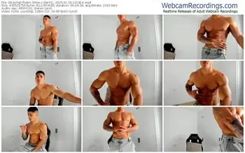 stripchat-dan01_-01-16-2025-13-18-14