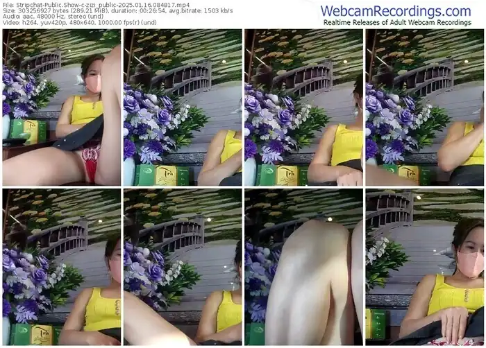 stripchat-zizi_public-01-16-2025-08-48-17