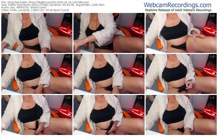 stripchat-bigbocupg95-01-16-2025-14-19-08