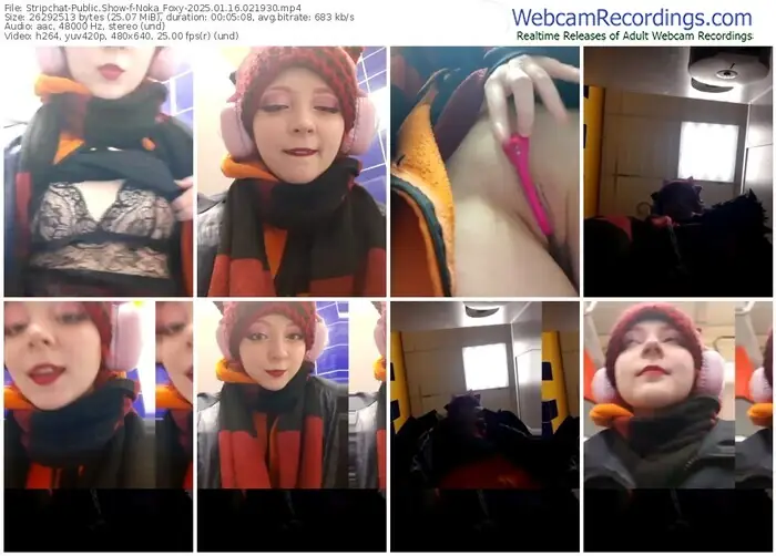 stripchat-noka_foxy-01-16-2025-02-19-30
