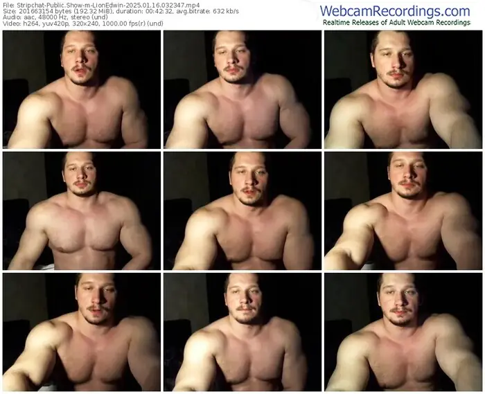 stripchat-lionedwin-01-16-2025-03-23-47