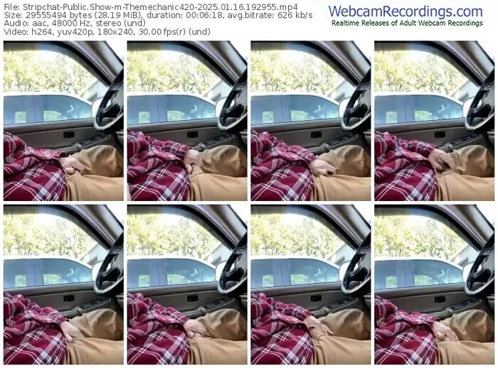 stripchat-themechanic420-01-16-2025-19-29-55