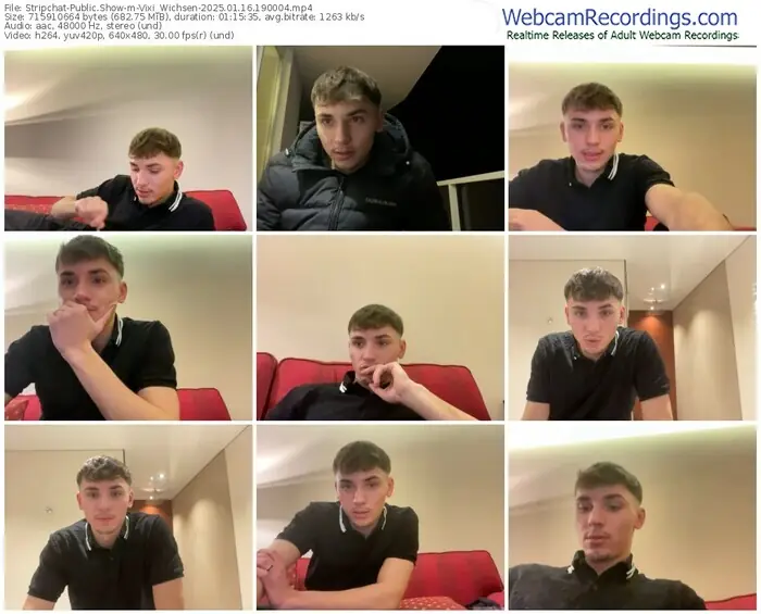 stripchat-vixi_wichsen-01-16-2025-19-00-04