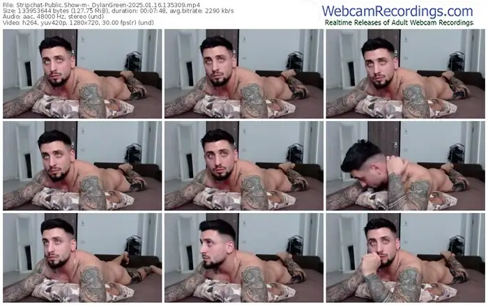stripchat-_dylangreen-01-16-2025-13-53-09