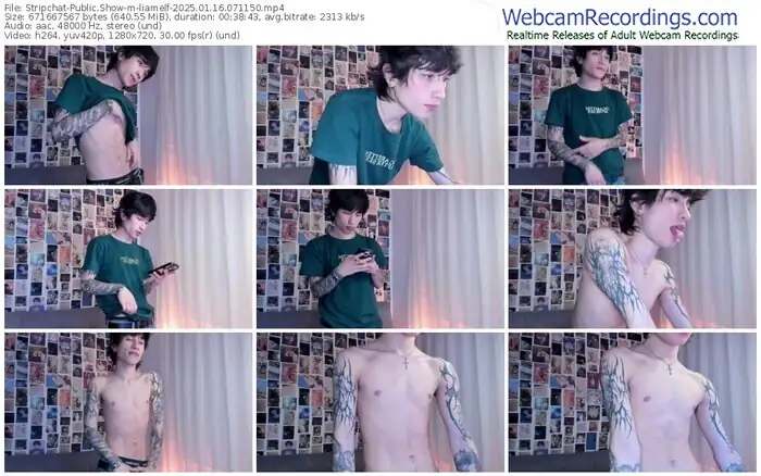 stripchat-liamelf-01-16-2025-07-11-50