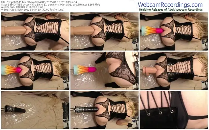 stripchat-ylvis88-01-16-2025-20-10-33