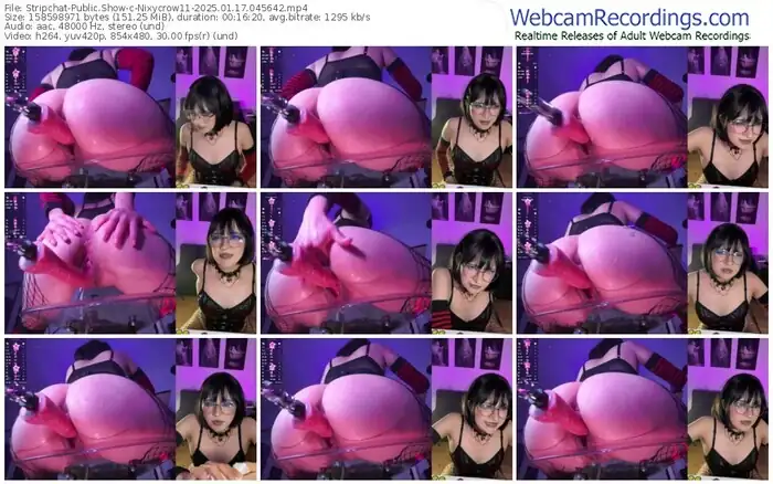 stripchat-nixycrow11-01-17-2025-04-56-42