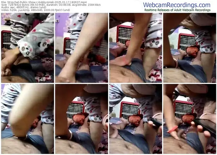 stripchat-bobbyronak-01-17-2025-18-26-37