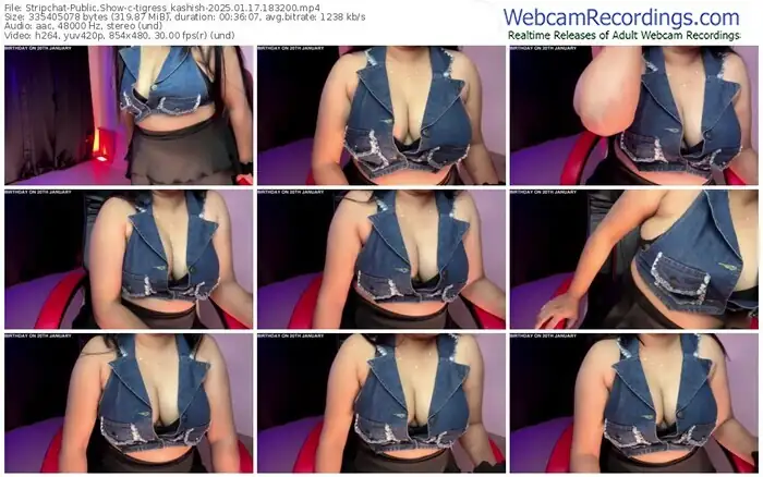 stripchat-tigress_kashish-01-17-2025-18-32-00