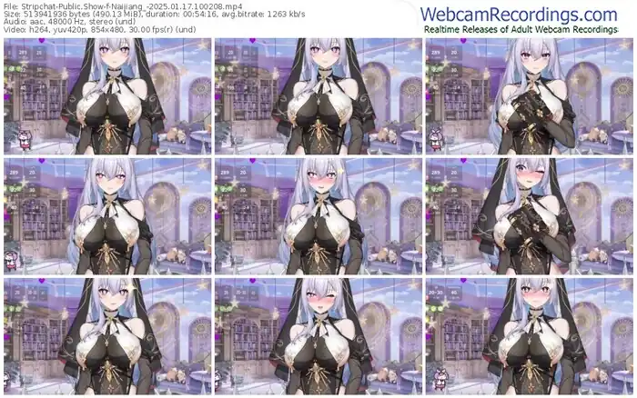 stripchat-naijiang_-01-17-2025-10-02-08