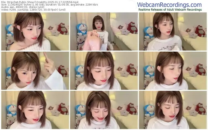 stripchat-onekitty-01-17-2025-02-35-58
