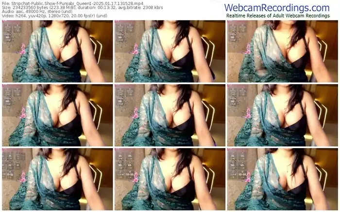 stripchat-punjabi_queen1-01-17-2025-13-15-28